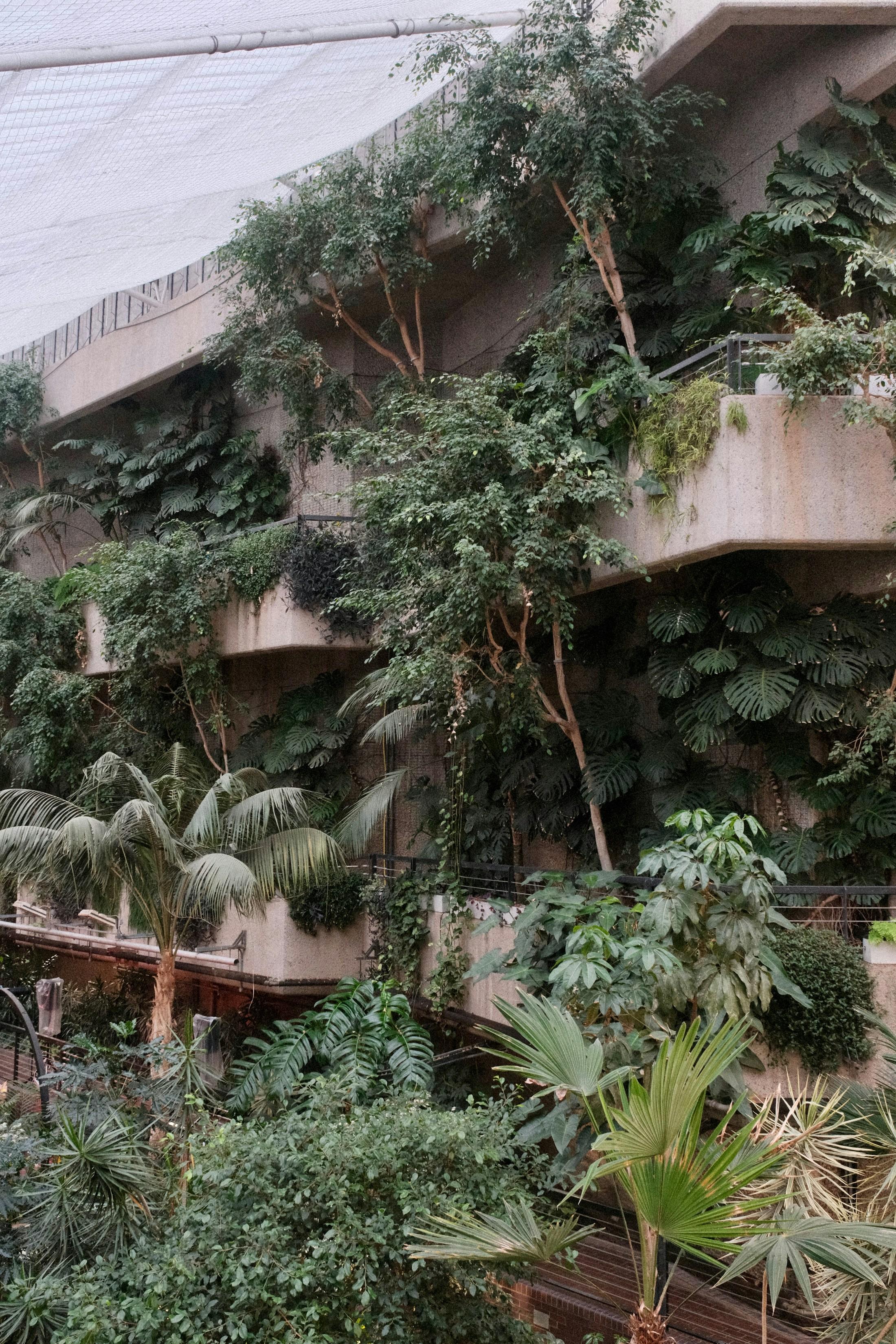 Dense planting integrated through the terraces of a concrete atrium